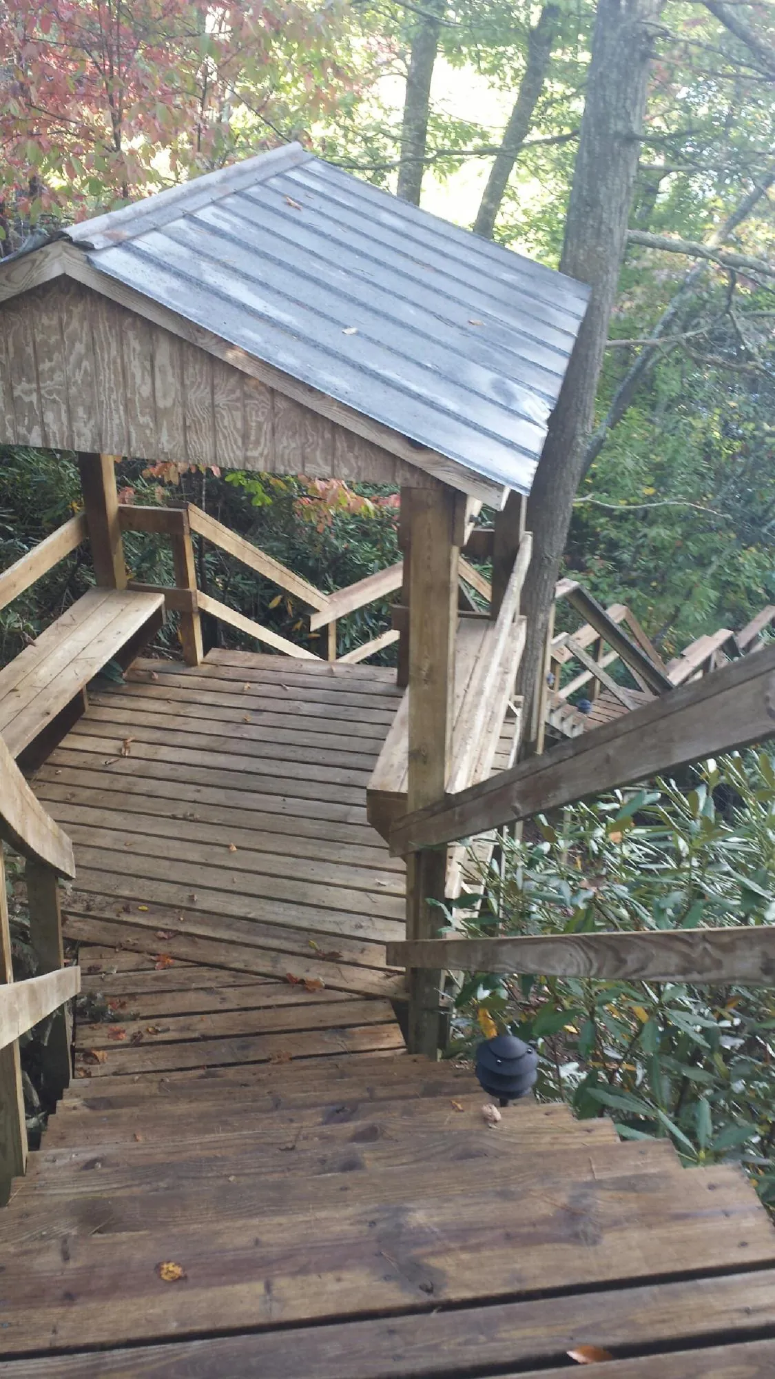 Metal roofed shelter over wooden steps on a wooded walkway in Losantville